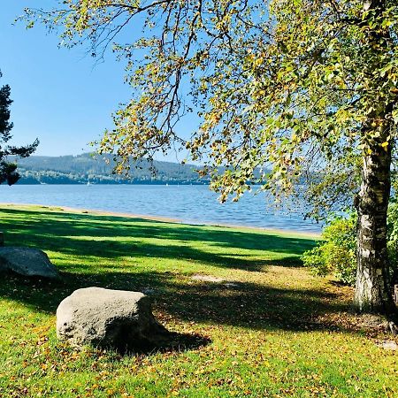 Riviera Lipno 502 Apartman 4Kk U Vody 伏尔塔瓦河畔利普诺 外观 照片